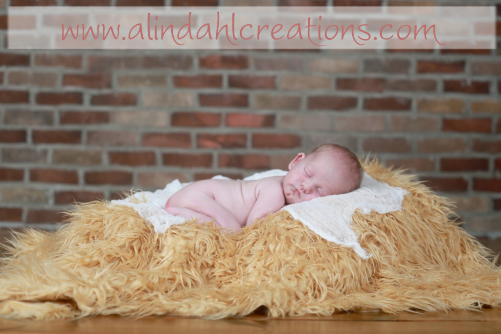 Grand Rapids MI newborn Photographer